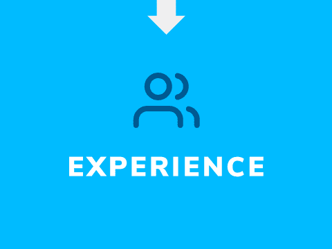 Experience